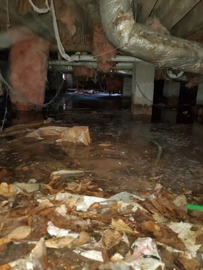 Crawl space flood assessment for Leak Detection & Repair in Mason